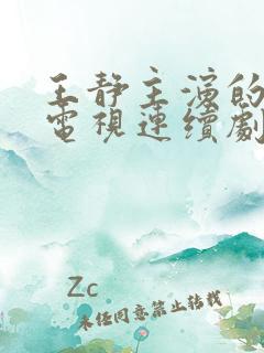 王静主演的所有电视连续剧