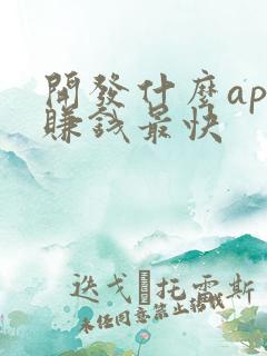 开发什么app赚钱最快