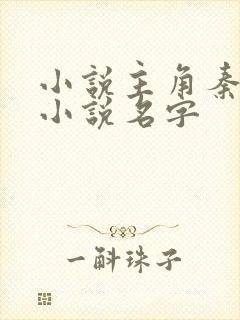 小说主角秦阳的小说名字