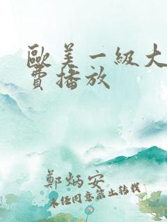 欧美一级大片免费播放