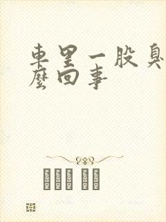 车里一股臭味怎么回事