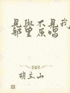 见与不见我都在那里原唱