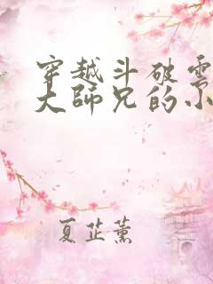穿越斗破云岚宗大师兄的小说