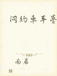 网约车平台t3