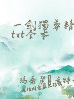 一剑独尊精校版txt全本