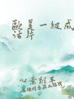 欧美一级成人生活片