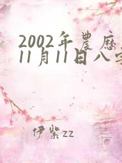 2002年农历11月11日八字算命