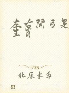 左右开弓是什么生肖
