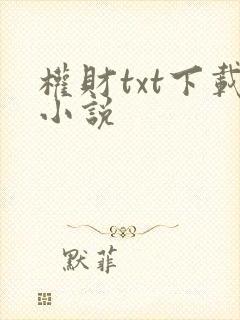 权财txt下载小说
