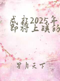 成毅2025年即将上映的电视剧