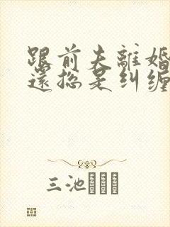 跟前夫离婚了他还总是纠缠我怎么办