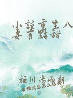 小说重生八零福妻有点甜