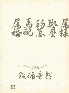 属马的与属龙的婚配怎么样