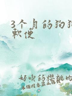 3个月的狗狗拉软便