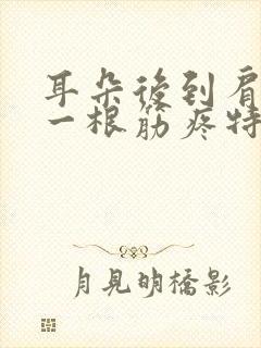 耳朵后到肩膀的一根筋疼特难受