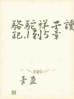 骆驼祥子读书笔记,1到5章