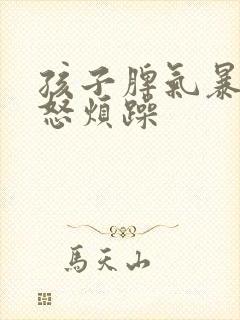孩子脾气暴躁易怒烦躁