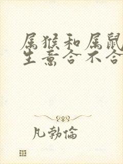 属猴和属鼠的做生意合不合财