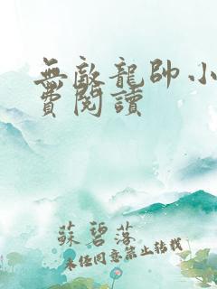 无敌龙帅小说免费阅读