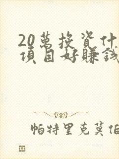 20万投资什么项目好赚钱