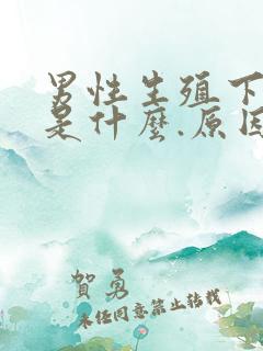 男性生殖下面痒是什么.原因