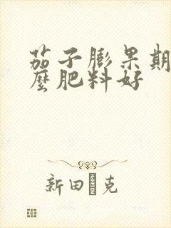 茄子膨果期施什么肥料好