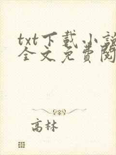 txt下载小说全文免费阅读