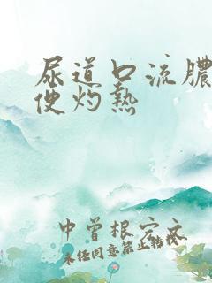 尿道口流脓 小便灼热