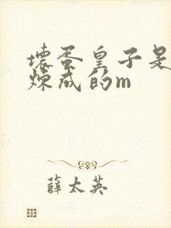 坏蛋皇子是怎样炼成的m