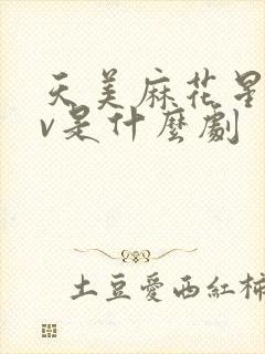 天美麻花星空mv是什么剧