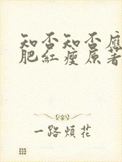 知否知否应是绿肥红瘦原著小说