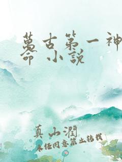 万古第一神李天命 小说