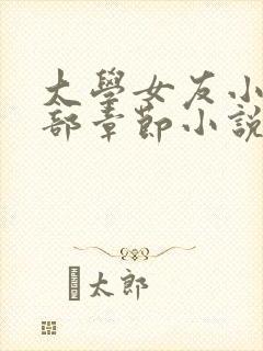 大学女友小依全部章节小说