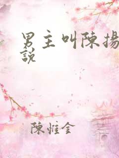 男主叫陈扬的小说