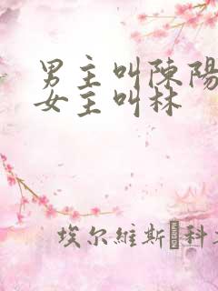 男主叫陈阳小说女主叫林