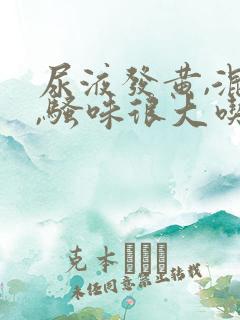 尿液发黄,混浊,骚味很大吃什么药