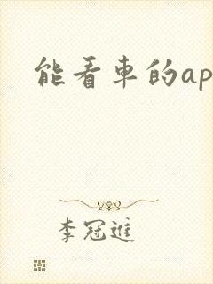 能看车的app