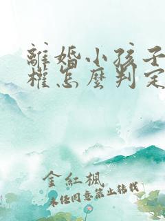 离婚小孩子抚养权怎么判定