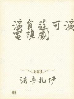 演员苏可演过的电视剧