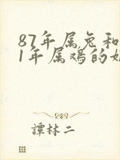 87年属兔和81年属鸡的姻缘