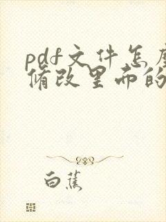 pdf文件怎么修改里面的字