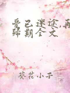 爱已迷途,再无归期全文