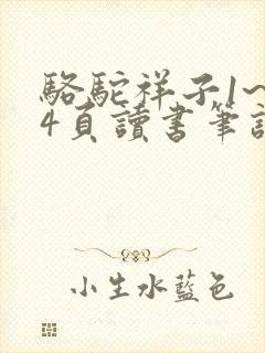 骆驼祥子1~24页读书笔记