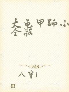 大龟甲师小说完全版