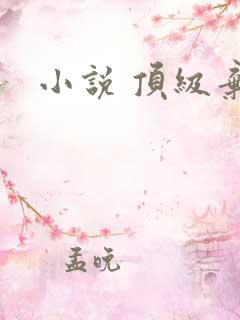 小说 顶级弃少