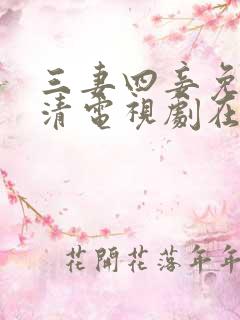 三妻四妾免费高清电视剧在线观看