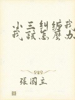 小三纠缠我老公我该怎么办