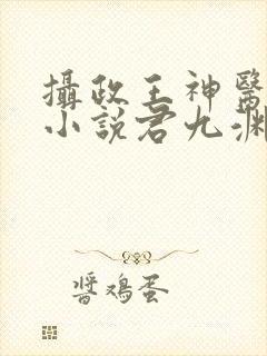 摄政王神医狂妃小说君九渊