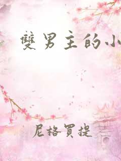 双男主的小说h