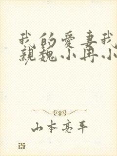 我的爱妻我的父亲魏小冉小说